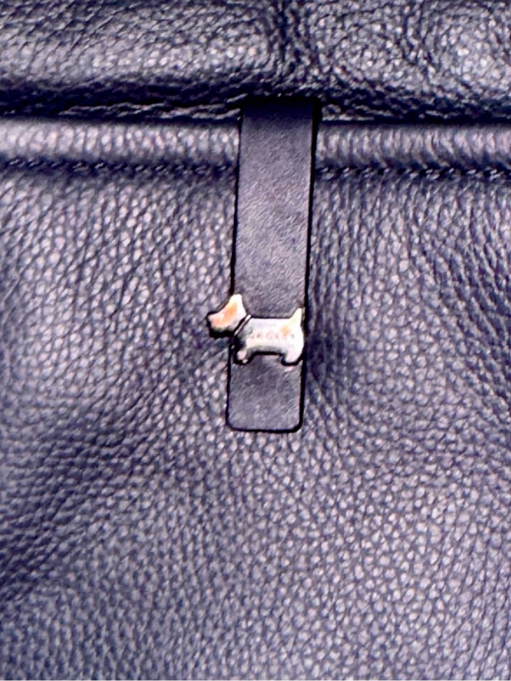 RADLEY LONDON Grained Leather Camera Crossbody in Navy - Picture 4 of 12